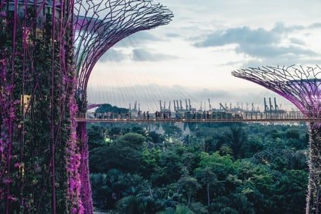 The canopy walkway at Gardens by the Bay in Singapore / Visualhunt