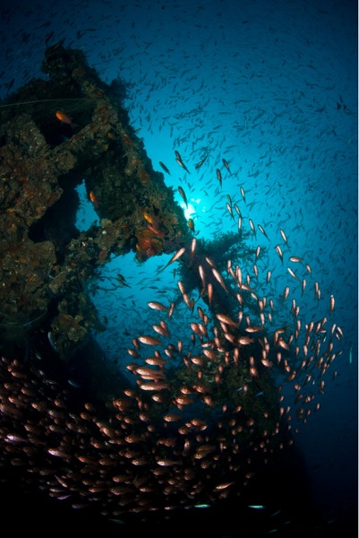 Wreck dive, Brunei. Image courtesy of Brunei Tourism