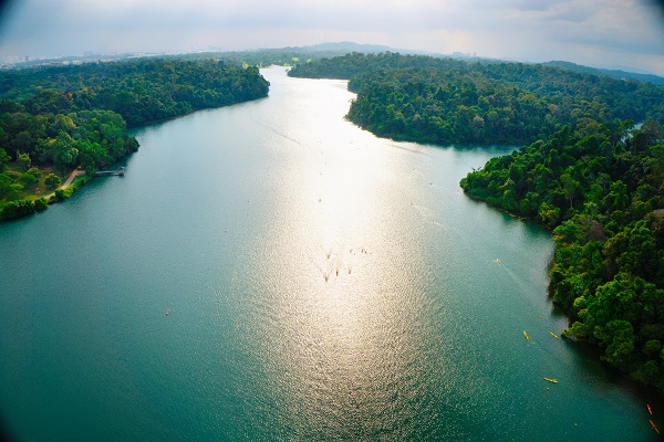 MacRitchie Reservoir Park from the air. Image courtesy of Singapore Tourism Board.