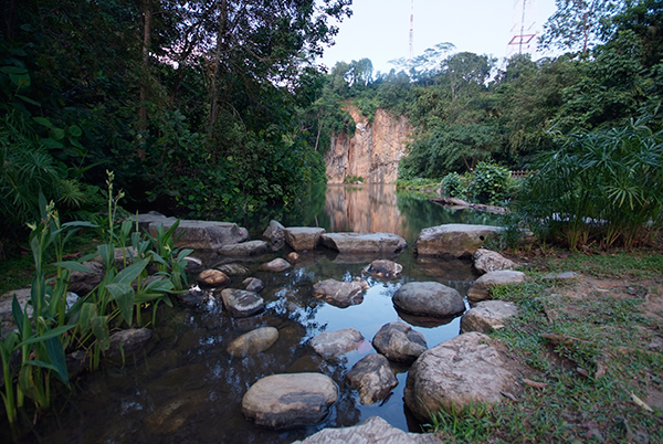 Bukit Timah Nature Reserve, Singapore