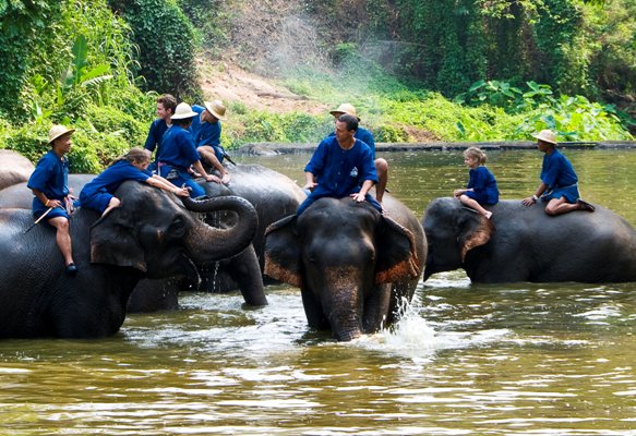 Thai Elephant Conservation Center in Chiang Mai, Thailand. Image courtesy by the Tourism Authority of Thailand, used with permission.