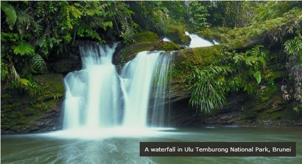 A waterfall in Ulu Temburong National Park, Brunei.
