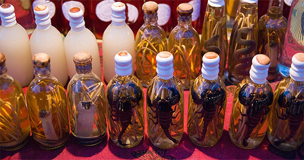 A range of rice wines with various creepy-crawlies steeped in it. Pic courtesy of David Gillbanks