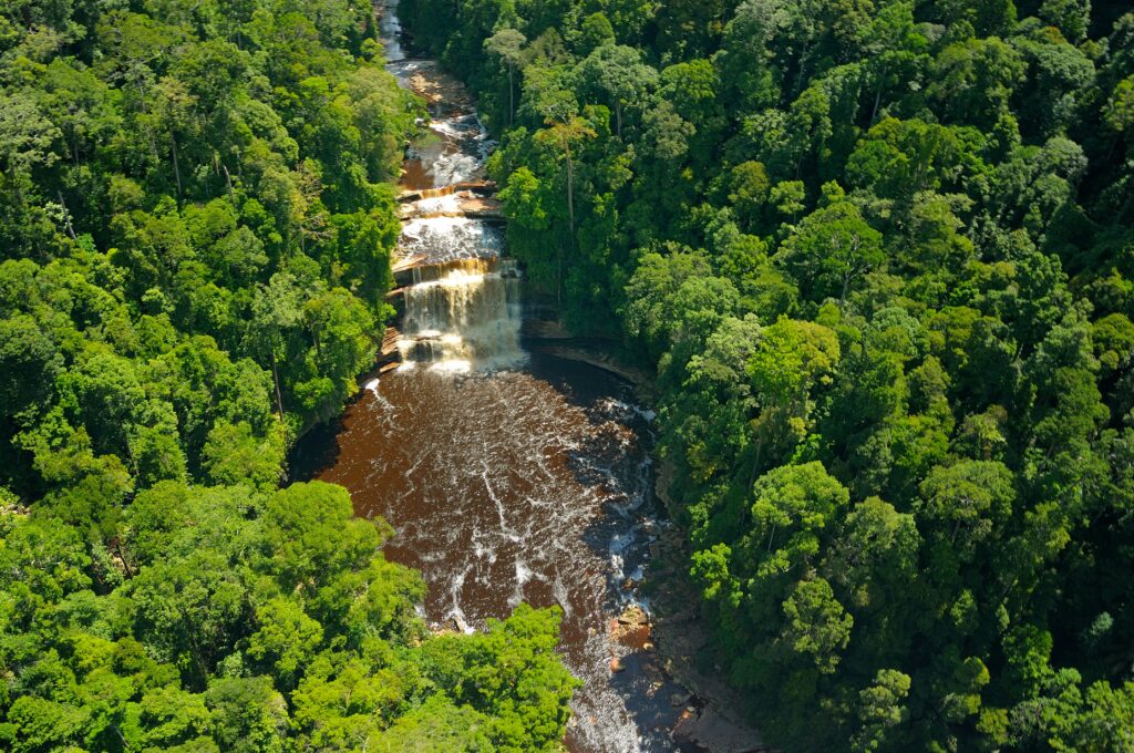 Maliau Basin is an expansive collection of forests with the Maliau River running through it.