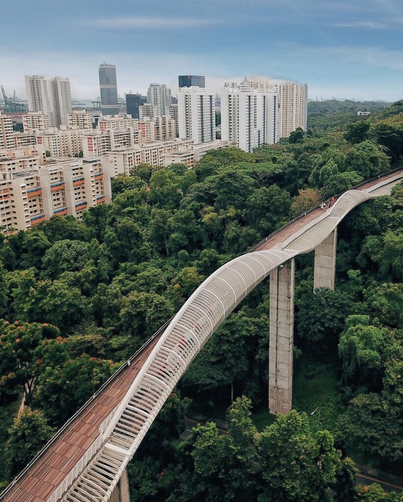 Mount Faber Park is one of the country’s most famous nature attractions.