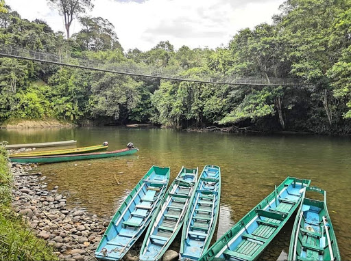 Freme Rainforest Lodge is known for its array of great activities, including obstacle courses filled with logs, swings, climbs, zip lines across the river, and a long suspension bridge to admire the forest and listen to the harmonious melodies of nature.