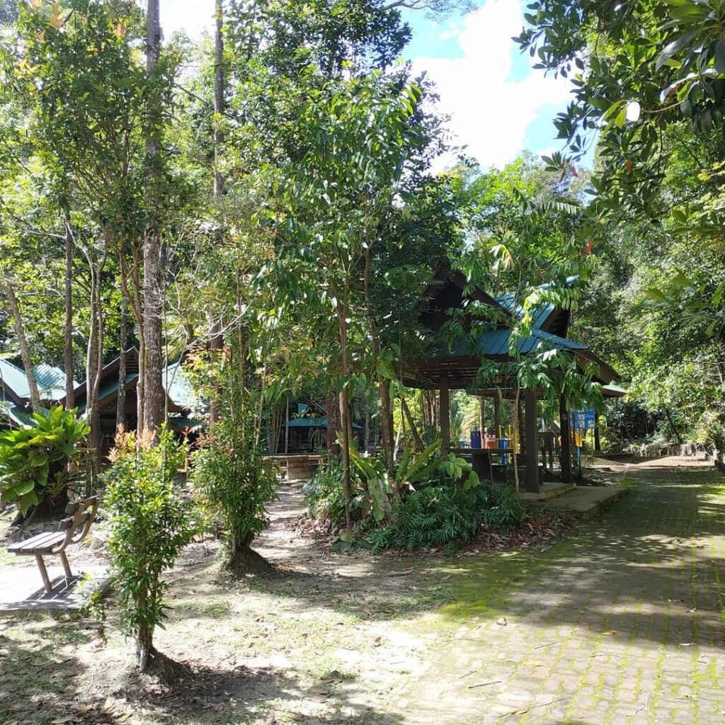 Sungai Liang Forest Recreational Park is an arboretum reserve.