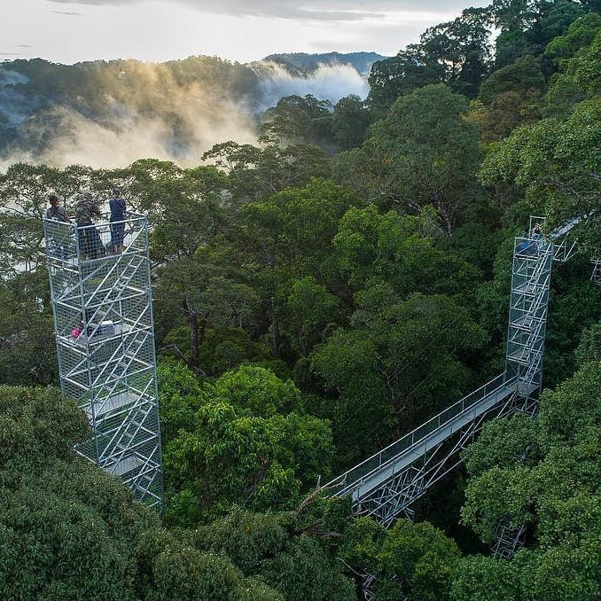 Ulu Temburong National Park is one of the most popular untouched areas in Brunei.
